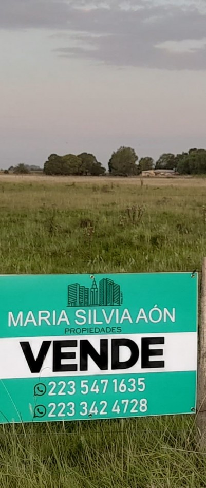 VENTA FRACCIONES DE TERRENO  CORONEL VIDAL AUTOVIA 2