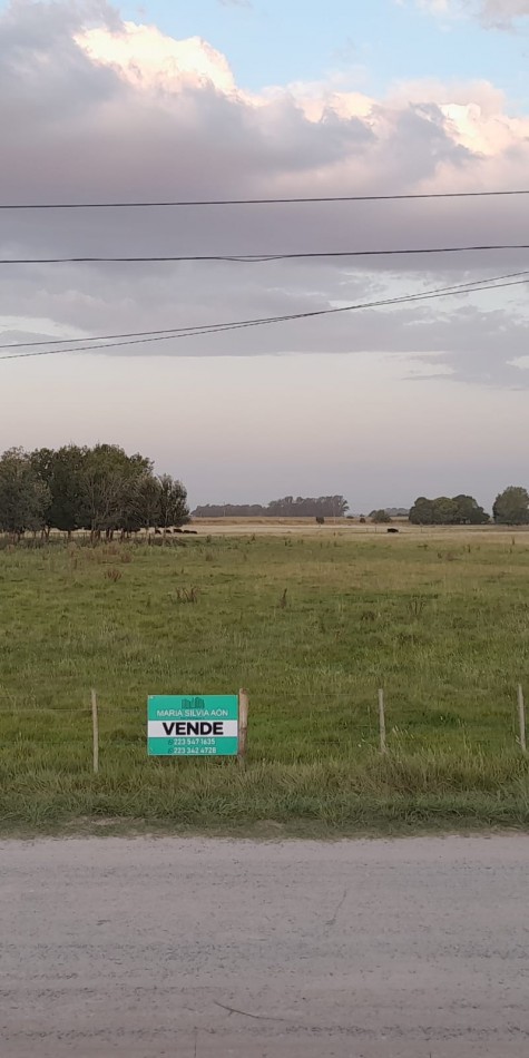 VENTA FRACCIONES DE TERRENO  CORONEL VIDAL AUTOVIA 2