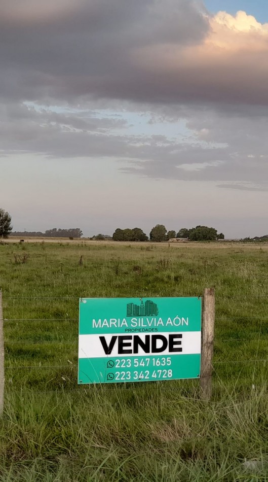 VENTA FRACCIONES DE TERRENO  CORONEL VIDAL AUTOVIA 2