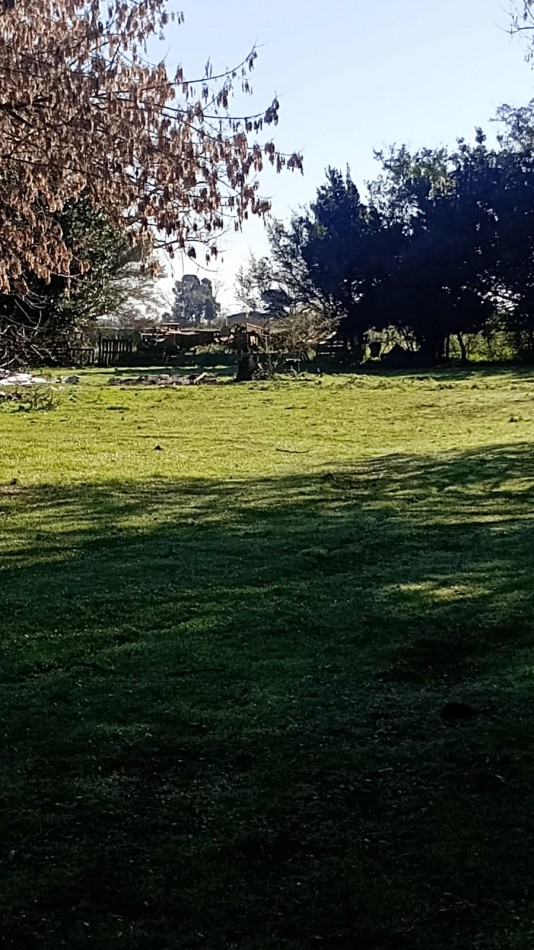 VENTA DOS PARCELAS DE TERRENO EN SECTOR QUINTAS EN GENERAL PIRAN PROVINCIA DE BS AS.