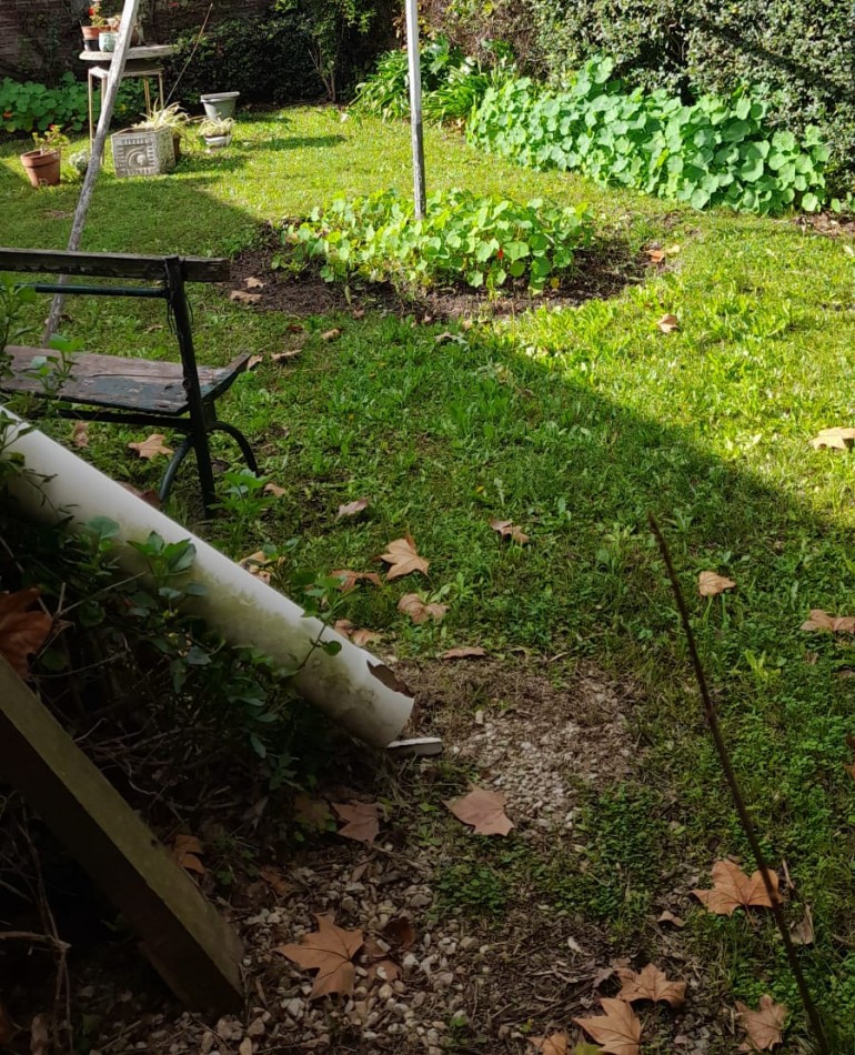 VENTA EN BLOCK 2 LOCALES COMERCIALES EN ZONA CENTRICA CORONEL VIDAL 