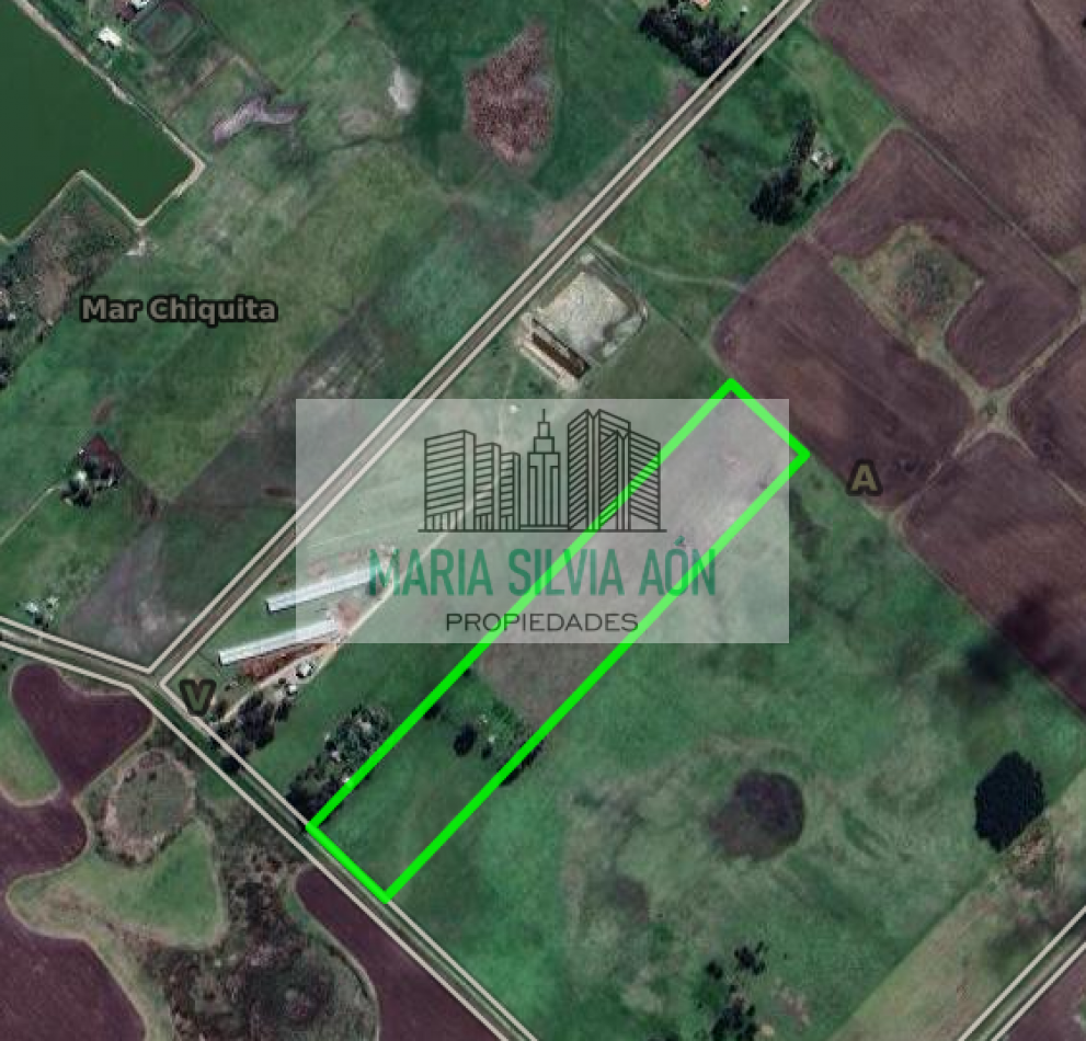 VENTA  SIETE HECTAREAS EN  CORONEL VIDAL ESCUCHA OFERTAS