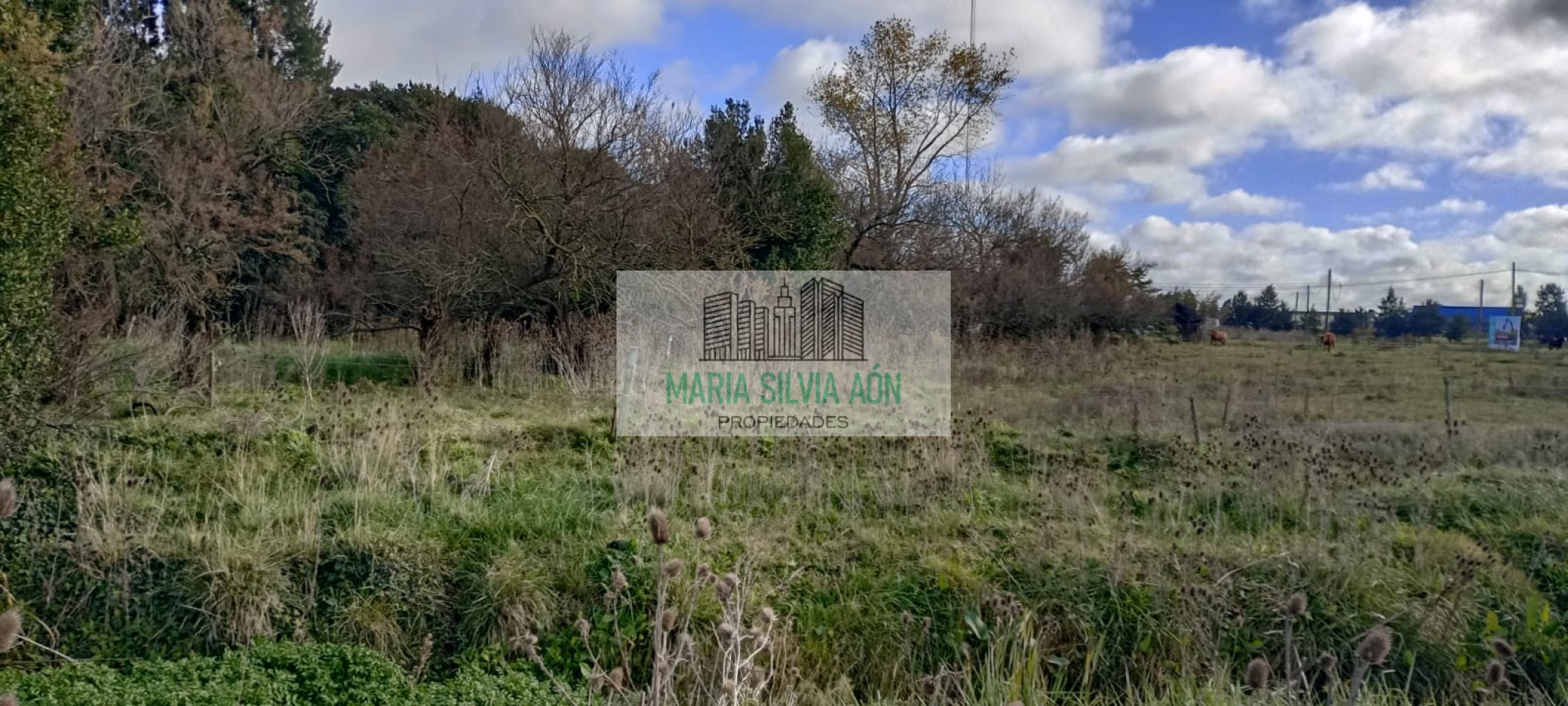 VENTA TERRENO CORONEL VIDAL 