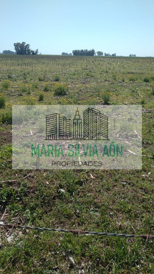 VENTA  SIETE HECTAREAS EN  CORONEL VIDAL ESCUCHA OFERTAS