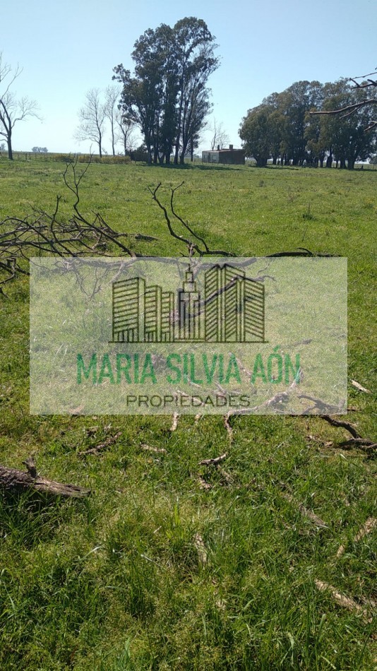 VENTA  SIETE HECTAREAS EN  CORONEL VIDAL ESCUCHA OFERTAS