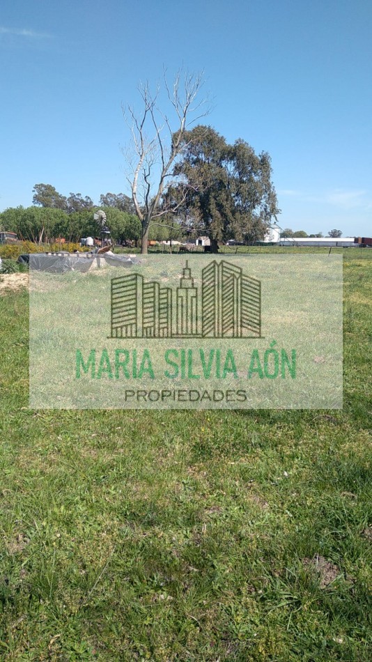 VENTA  SIETE HECTAREAS EN  CORONEL VIDAL ESCUCHA OFERTAS