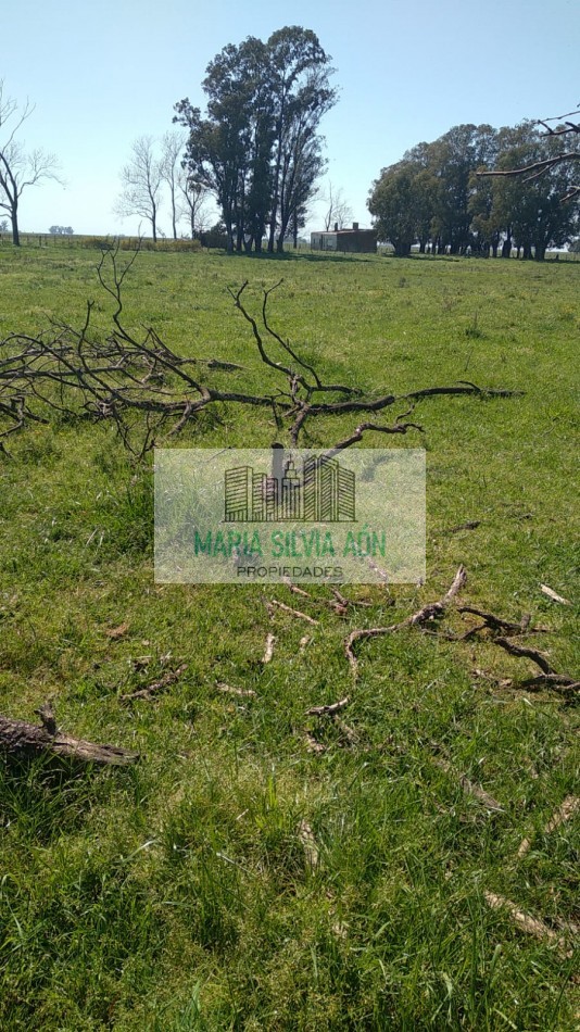 VENTA  FRACION DE TERRENO CORONEL VIDAL ESCUCHA OFERTAS