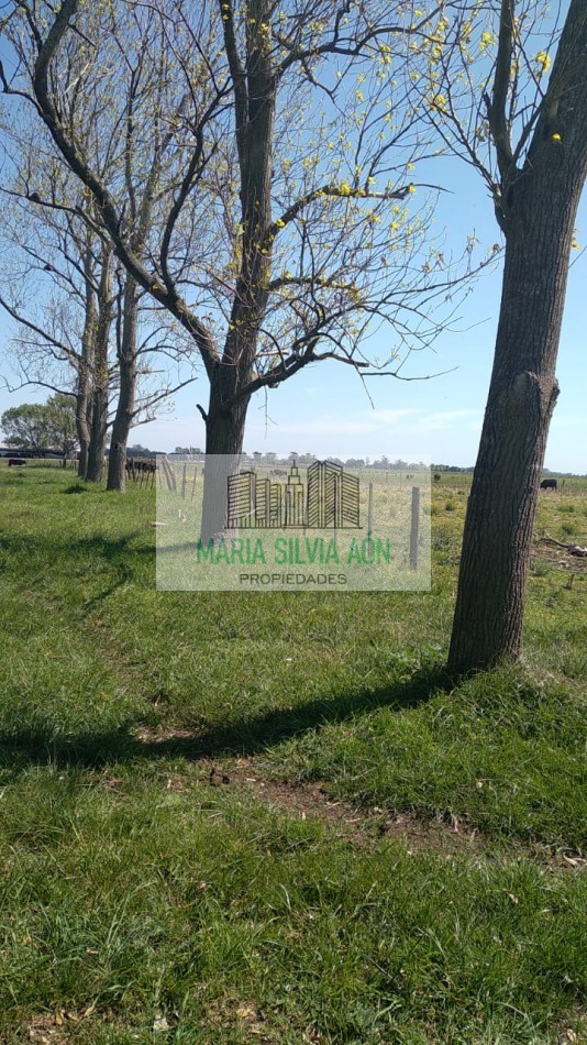 VENTA  FRACION DE TERRENO CORONEL VIDAL ESCUCHA OFERTAS