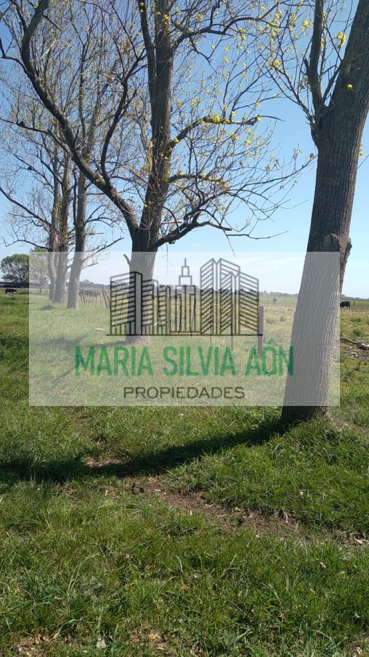 VENTA  SIETE HECTAREAS EN  CORONEL VIDAL ESCUCHA OFERTAS