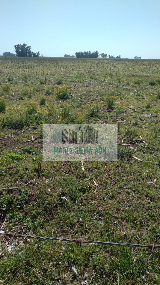 VENTA  FRACION DE TERRENO CORONEL VIDAL ESCUCHA OFERTAS