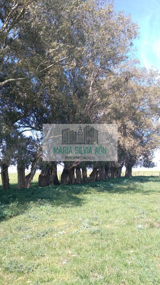 VENTA  FRACION DE TERRENO CORONEL VIDAL ESCUCHA OFERTAS