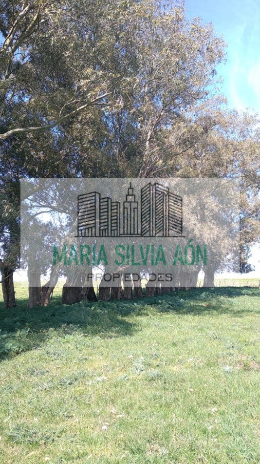 VENTA  SIETE HECTAREAS EN  CORONEL VIDAL ESCUCHA OFERTAS