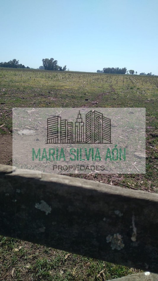 VENTA  SIETE HECTAREAS EN  CORONEL VIDAL ESCUCHA OFERTAS