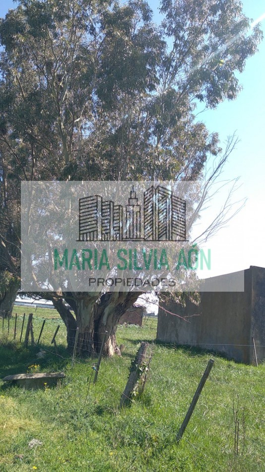 VENTA  SIETE HECTAREAS EN  CORONEL VIDAL ESCUCHA OFERTAS