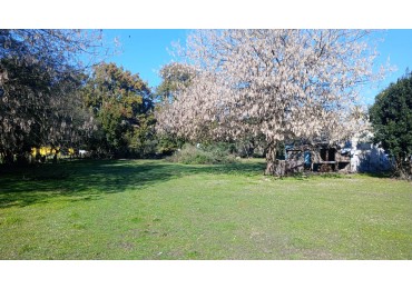 VENTA DOS PARCELAS DE TERRENO EN SECTOR QUINTAS EN GENERAL PIRAN PROVINCIA DE BS AS.